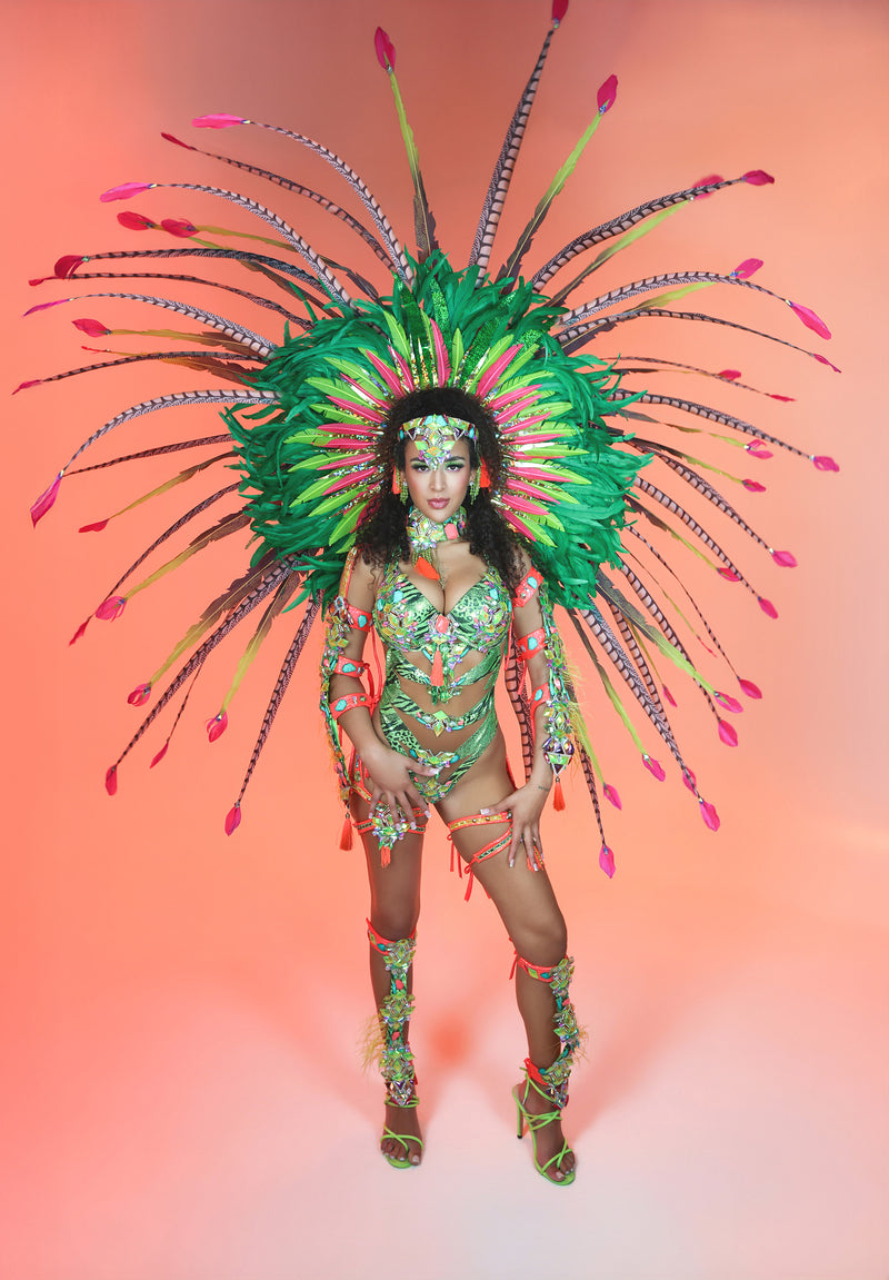 Amazonia Medium Feathers