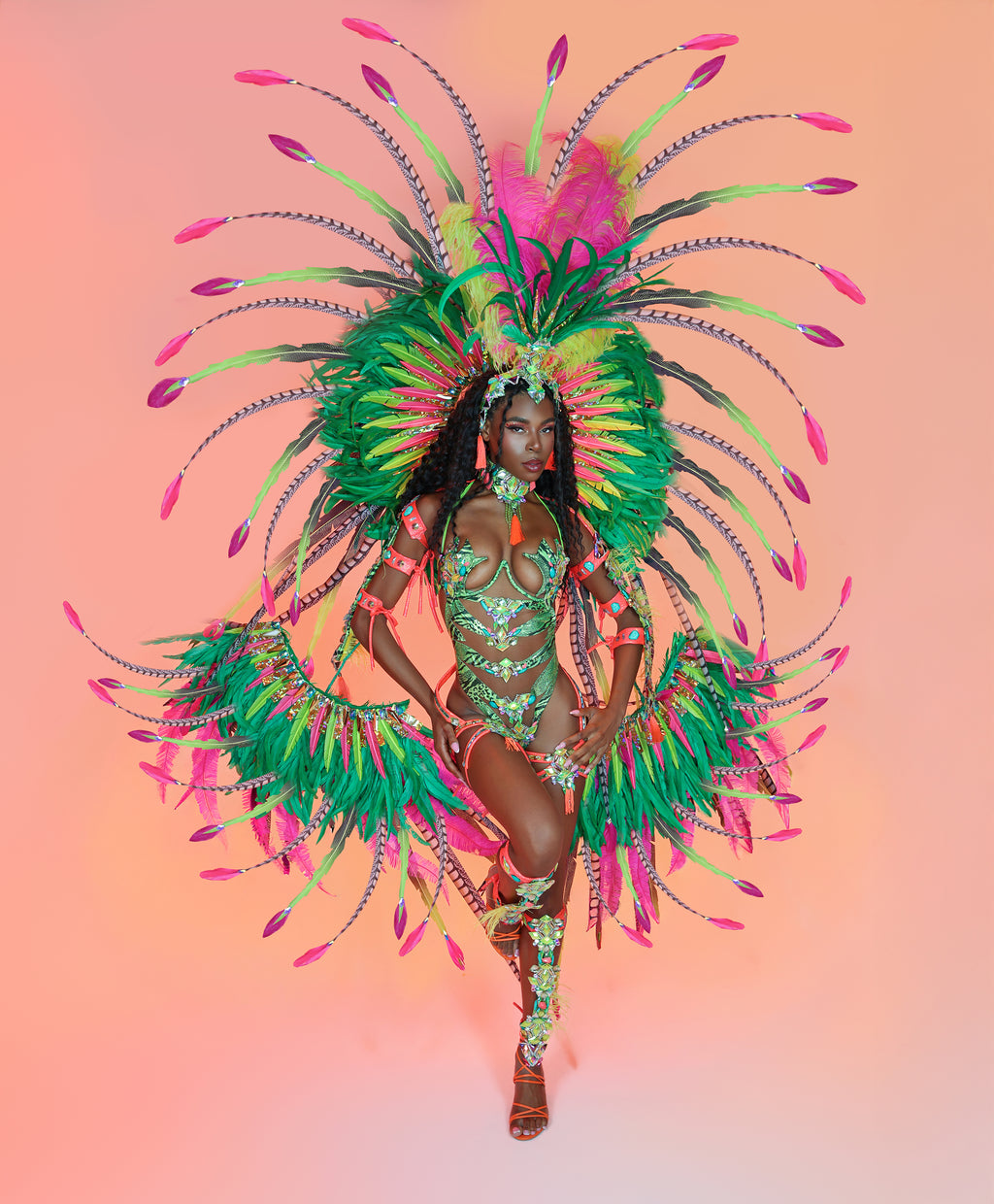 Amazonia Large Feathers