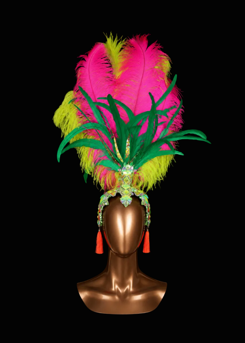 Amazonia Feather Head Piece