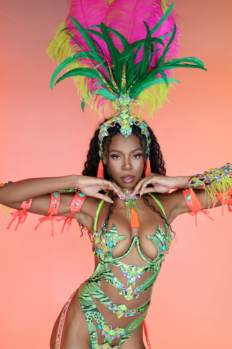 Amazonia Feather Head Piece
