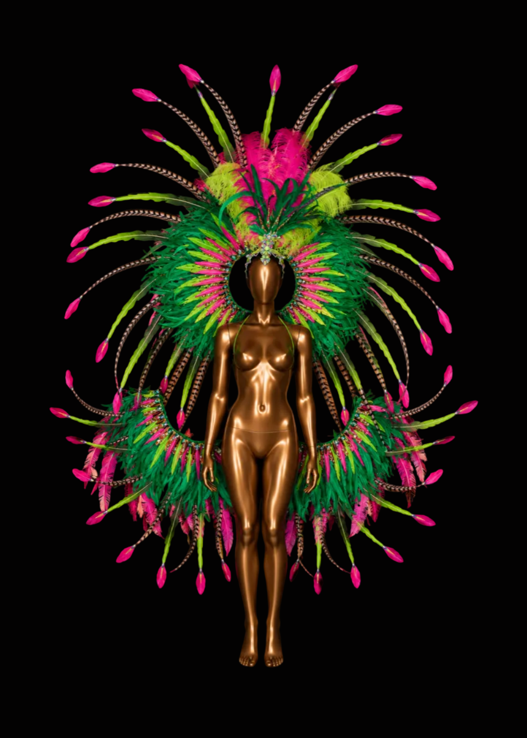 Amazonia Large Feathers